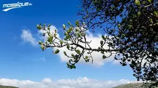 La météo du dimanche 16 août 2026