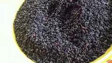 Mouled : attention aux aflatoxines dans le zgougou et les fruits secs
