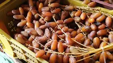 Dattes : les exportations bondissent de 13,3 %