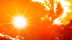 Canicule : 633 patients pris en charge en deux mois