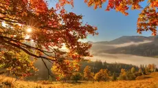 Automne 2026 : des températures plus chaudes que la normale