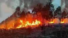 Incendie du mont Boullmane à Bargou : les flammes se propagent