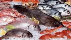 Pêche : La balance commerciale excédentaire