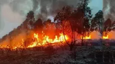 Bargo: Le ministre de l'agriculture se rend sur le lieu de l'incendie