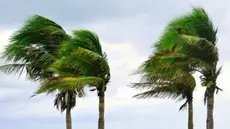 Météo: Vents forts, ce soir