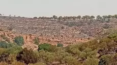 Incendie du Mont Bargou: Deux mandats de dépôt