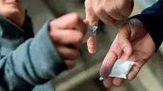 Hammam-Lif : Un réseau de trafic de drogue démantelé