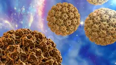 Sensibilisation au virus HPV dans les milieux scolaires