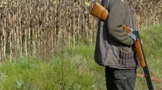 Tout sur la saison de la chasse 2026-2027