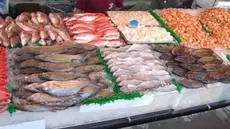 Produits de la pêche: Net excédent de la balance commerciale