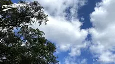 La météo du dimanche 27 septembre 2026