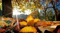 Météo : Légère hausse des températures, ce lundi