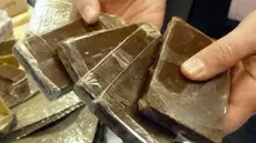 Coup de filet à Bizerte: Quatre kilos de cannabis saisis
