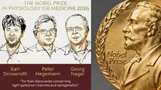 Le Nobel de médecine décerné à deux Allemands et un Américain