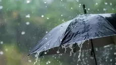 Météo: Des pluies abondantes, à partir de ce jeudi soir