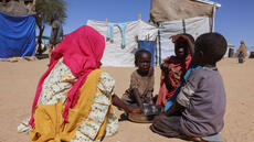 Tchad: les réfugiés soudanais de Tiné acheminés dans les camps du HCR