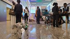 Kigali accueille le premier Sommet mondial de l’intelligence artificielle en Afrique