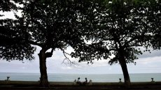 L'Unesco désigne 26 nouvelles réserves de biosphère dont l'île de São-Tomé-et-Principe