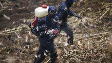 L'Europe continue d'exporter des pesticides toxiques vers l'Afrique selon une ONG