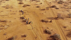 Sécurité alimentaire: la stratégie agricole de l'Éthiopie face au défi climatique