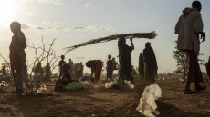 Somalie: la pénurie d’eau provoque une grave crise sanitaire et économique, selon une ONG