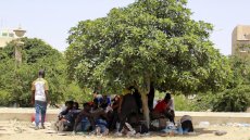 Tunisie: des migrants survivent dans les champs d'oliviers