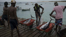 Cap-Vert: pavillon haut sur l'économie bleue