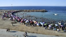 Algérie : une algue brune invasive recouvre les plages