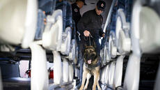 Cybercriminalité en Afrique: «Le plus important était de couper l'infrastructure des réseaux criminels»