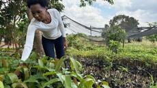 En Tanzanie, certains voient l'arrivée d'El Niño comme une opportunité [3/3]