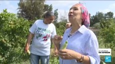 La scientifique tunisienne Semia Gharbi remporte le Goldman Prize