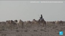 Sahara occidental : le plan d'autonomie marocain soutenu par l'ONU