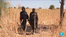 Tchad : l'eau potable manque cruellement, les populations en danger