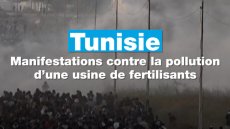 Tunisie : manifestations contre la pollution d’une usine de fertilisants