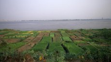 Congo-Brazzaville: la société italienne Eni lance une unité de production d’huile dans le sud du pays