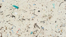 À quel point les plages sont-elles polluées par les plastiques ?
