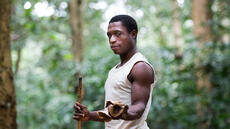 En Centrafrique, le mode de vie millénaire des Pygmées Akas