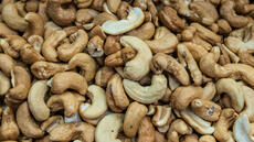 Sénégal: les transformateurs de cajou appellent l'État à respecter ses engagements