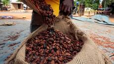 Ghana : le prix du cacao en hausse