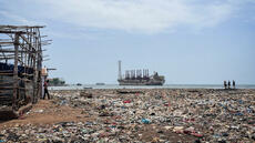 Sierra Leone: «Freetown the Treetown», reboiser contre les catastrophes climatiques [1/2]