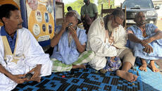 Mauritanie: les chasseurs de météorites, une activité en plein essor mais peu encadrée