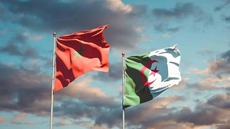 Algérie : 61 Marocains qui « préparaient des actes de sabotage » arrêtés