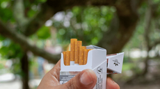 Après l’expérience émiratie, l’Algérie veut verrouiller le marché du tabac