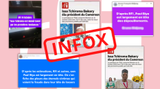 Présidentielle au Cameroun: RFI dans le viseur de la désinformation