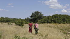 Les Africains désignent leurs gouvernements comme principaux responsables de l'action climatique