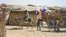 Soudan: les réfugiés au Tchad subissent «la pire crise humanitaire du monde», selon une ONG