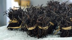 Madagascar: quel état d'esprit vis-à-vis des droits de douane américains?