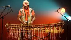 Côte d'Ivoire: Aly Keita, rencontre avec un génie du balafon [4/16]