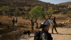 En Cisjordanie, des soldats israéliens aident des colons à s'emparer d'oliveraies palestiniennes