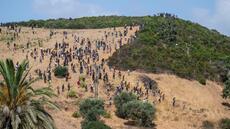 Maroc : 294 migrants, dont 248 Subsahariens, interpellés près de la frontière avec Ceuta